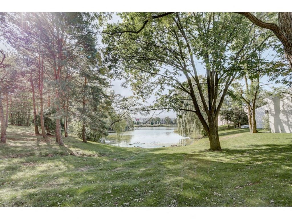 a view of a pond in a park with trees