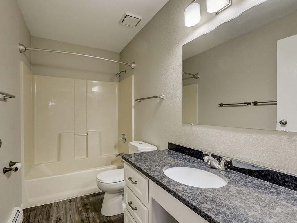 a bathroom with a sink and a toilet and a mirror