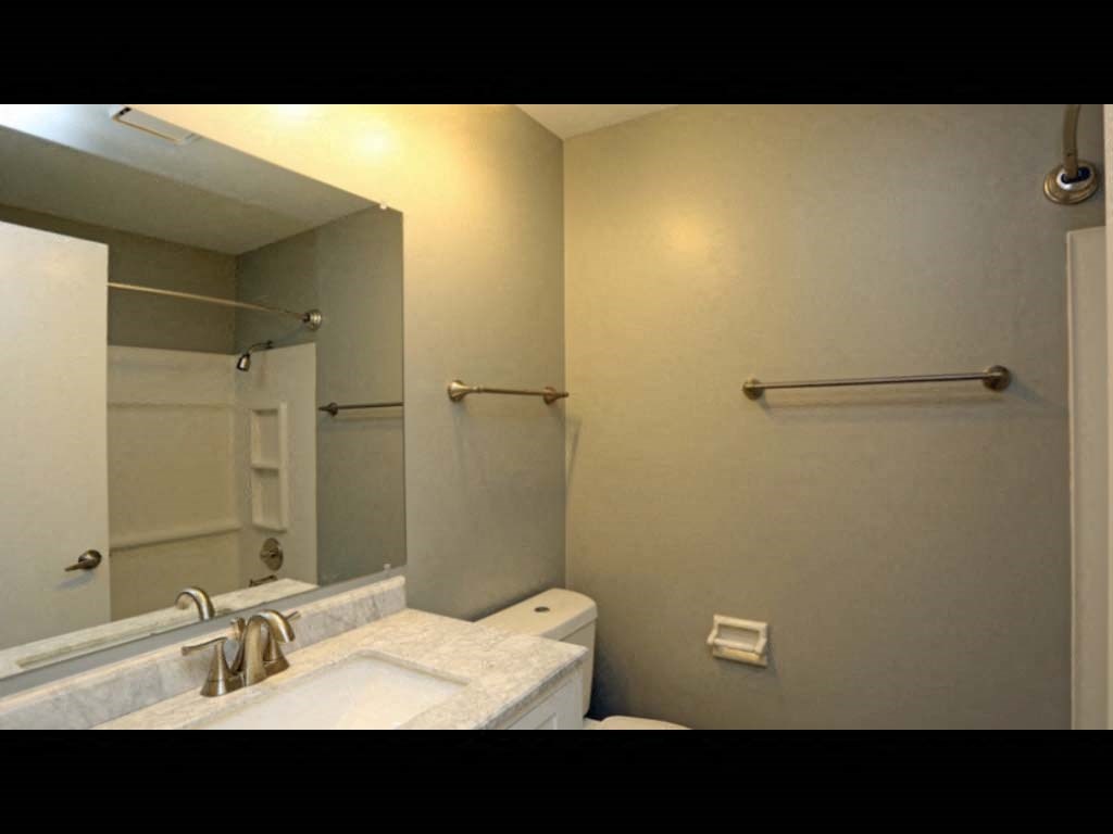 a bathroom with a sink and a toilet and a mirror