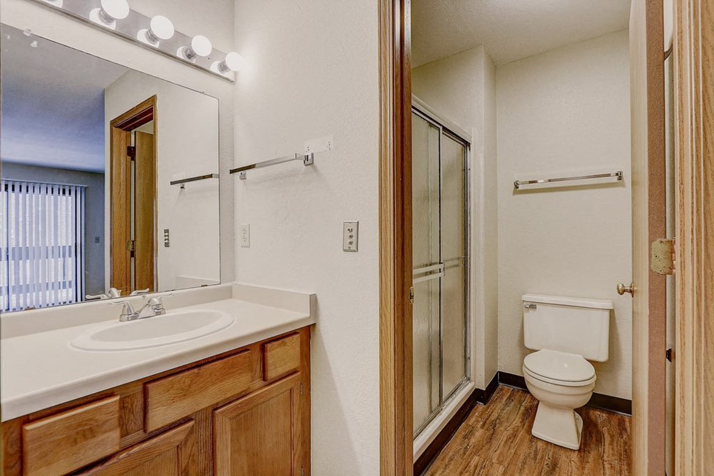 a bathroom with a sink toilet and a shower