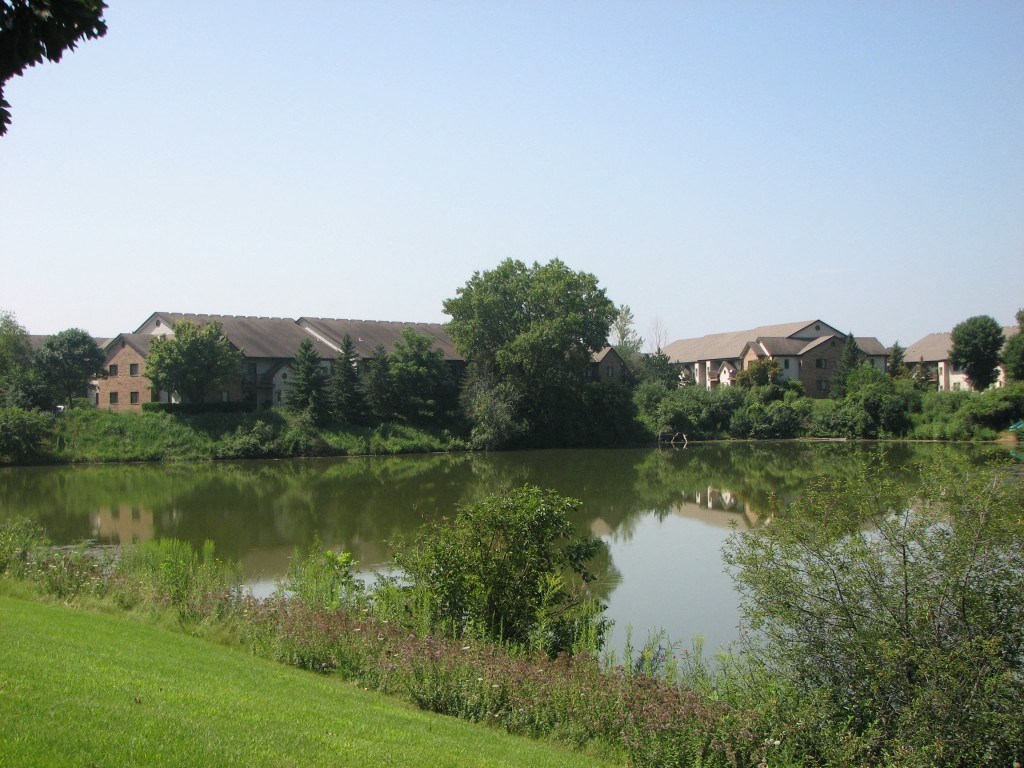 a body of water with houses in the background