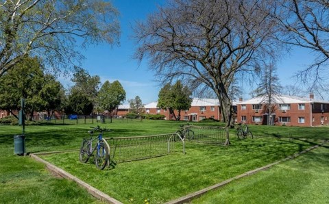 A park with a bicycle and a fence.