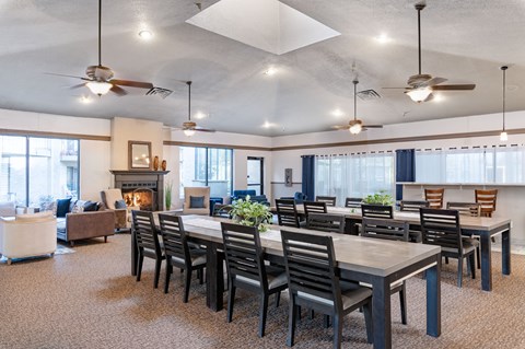 A large dining room with a fireplace and a long table.