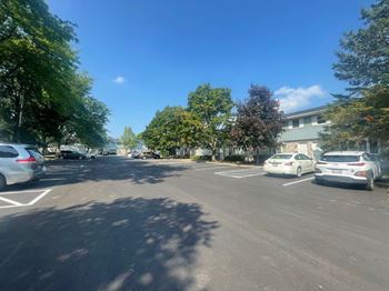 an empty parking lot with cars and trees