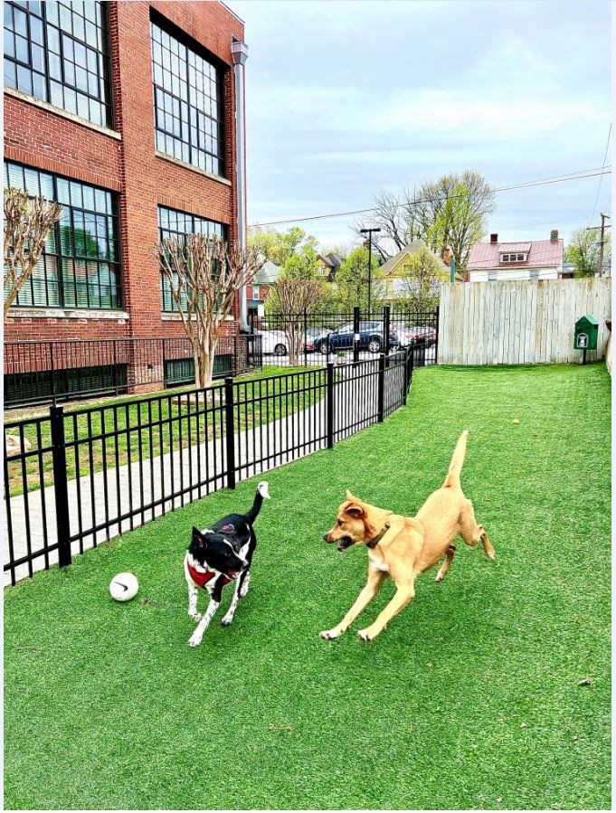 The Cotton Mill Lofts