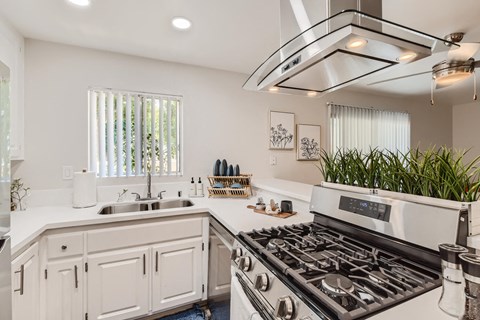 a white kitchen with a stove and a sink