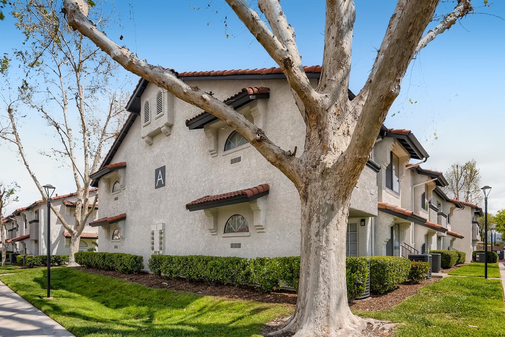 building View with tree at Azul Apartments, California, 92545