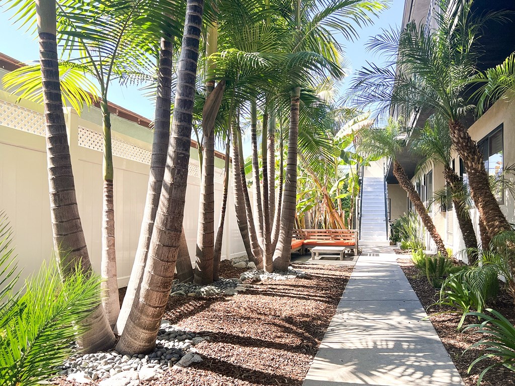 a path with palm trees and a bench in front of a building