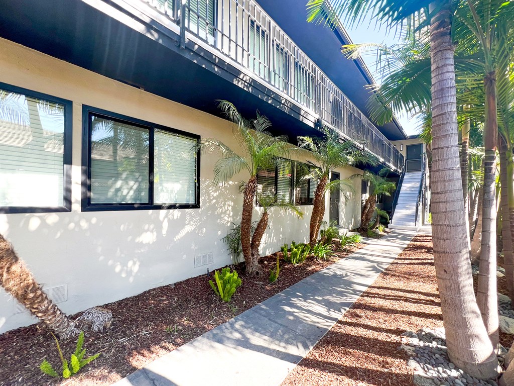 the exterior of a building with palm trees and a sidewalk