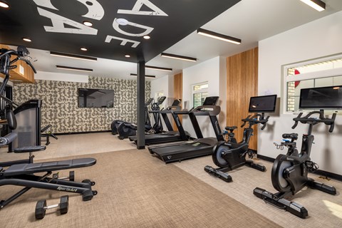 A gym with a variety of exercise equipment including treadmills, stationary bikes, and dumbbells.