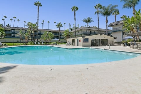 A swimming pool surrounded by palm trees and a building in the background.