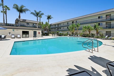 A swimming pool surrounded by palm trees and a building in the background.