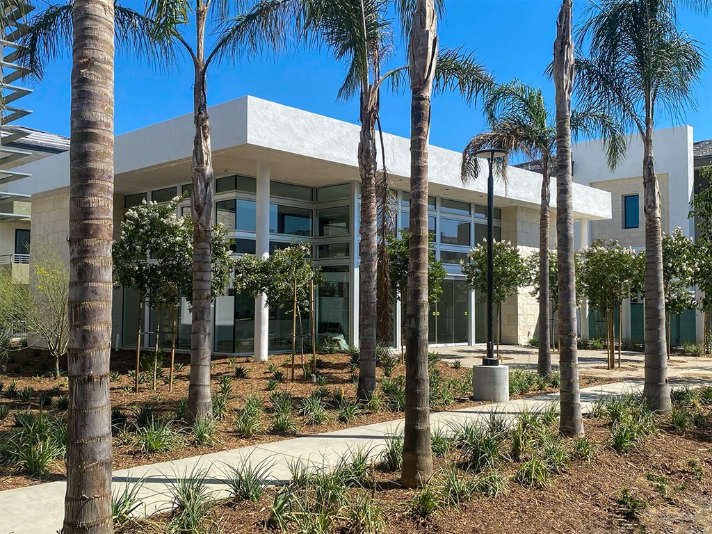 a building with palm trees in front of it at The Max on Jefferson Apartments, Murrieta, 92562