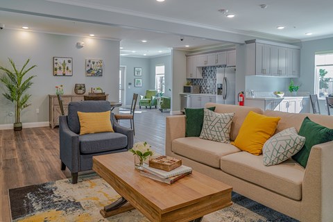 A living room with a grey couch, a blue armchair, a coffee table and a rug.