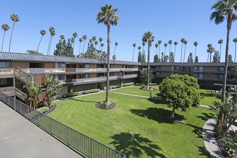 A sunny day at the apartment complex with palm trees and a green lawn.