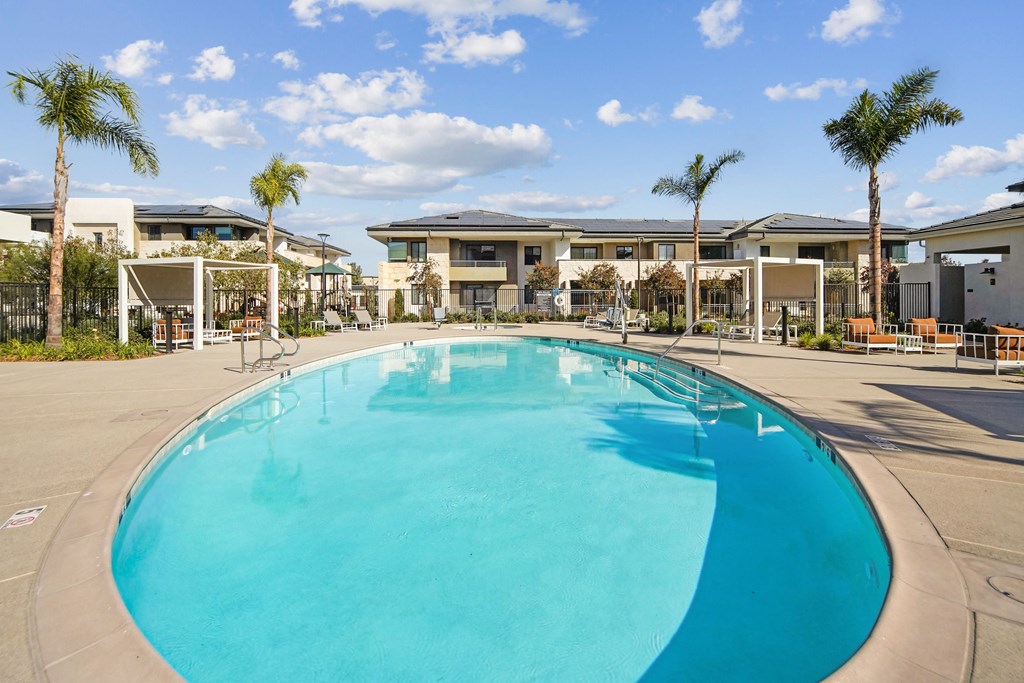 A large swimming pool in front of a building with palm trees. at The Max on Jefferson Apartments, Murrieta