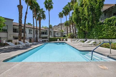 A swimming pool surrounded by palm trees and lounge chairs.