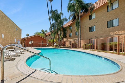A swimming pool surrounded by a fence and palm trees.