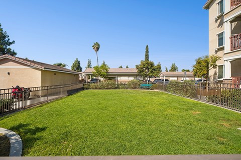 Large grass area at Turtle Creek