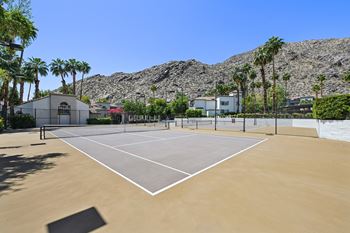 A tennis court surrounded by palm trees and houses.