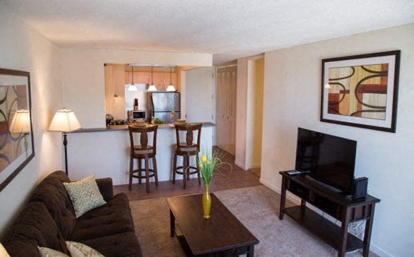 a living room with a couch a table and a television in a standard one bedroom apartment