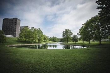 a small pond in the middle of the Gateway Arch Park with view of Mansion House Apartments in the background - Photo Gallery 5