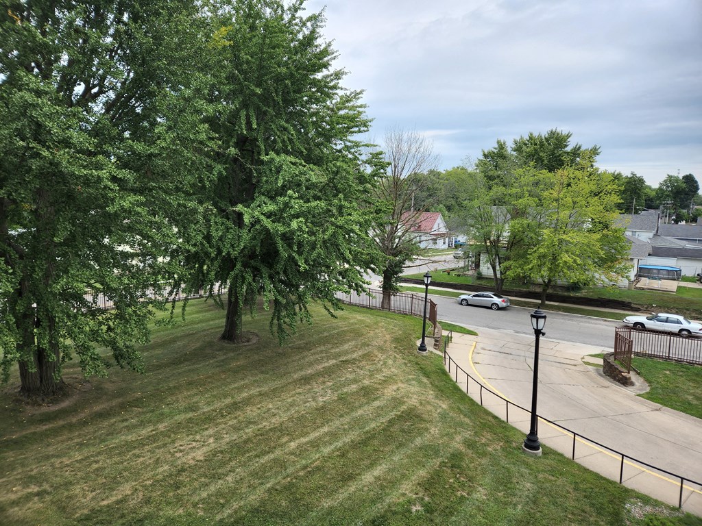 a view of a park and a street with trees