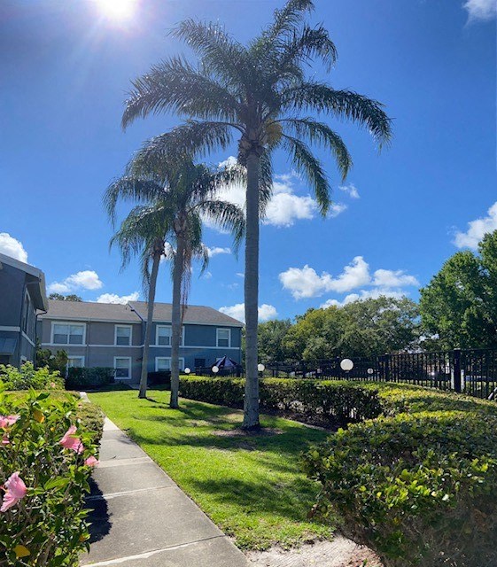 Palm Trees in Front of a House at Pineview Apartments in Clearwater, FL 33755