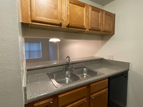 a kitchen with a sink and wooden cabinets