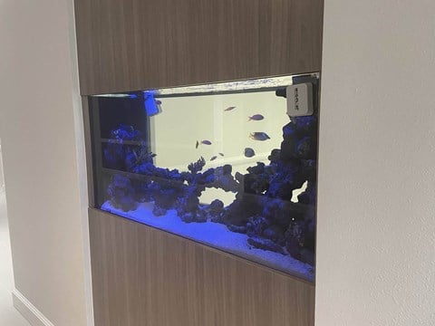 Fish Tank at Hampton Apartments in Clearwater, FL
