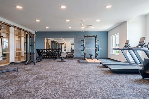 A spacious gym with treadmills, elliptical machines, and other exercise equipment.