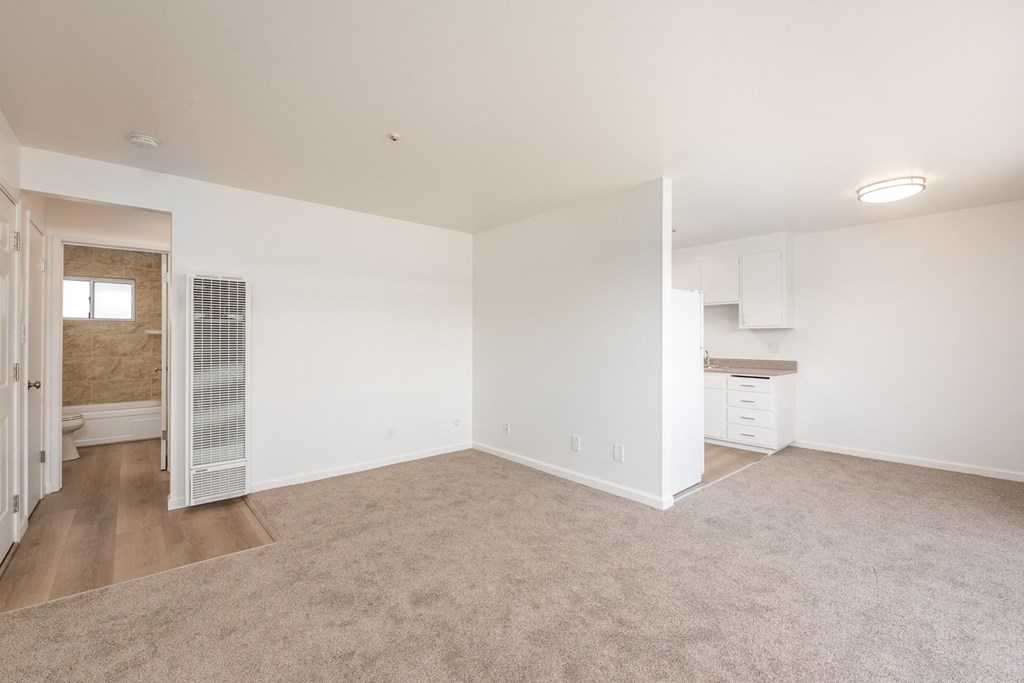 Living Room of an Upstairs 1 BRM Apartment with Original Amenities