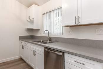 3018 Coffey Lane 1-3 Beds Apartment for Rent - Photo Gallery 8