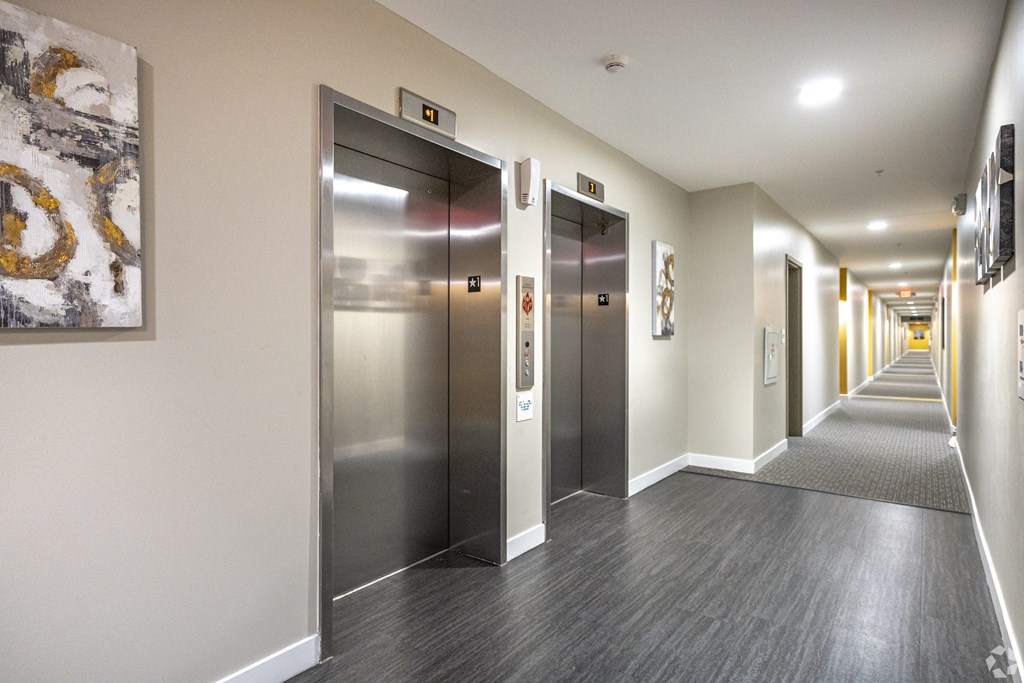 a row of elevators in a hallway in a building