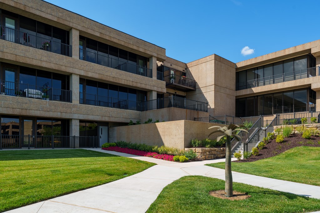 A building with a palm tree in front.