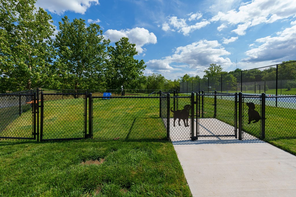 A dog park with a fence and a dog jumping over it.