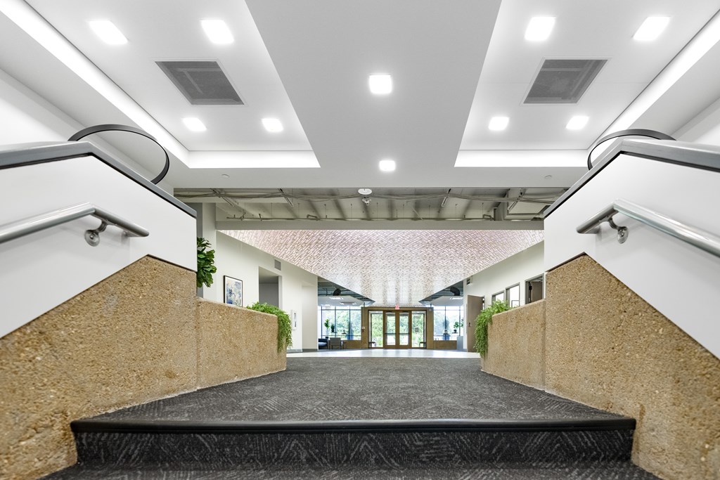 A modern building with a black carpeted staircase leading to a brightly lit hallway.
