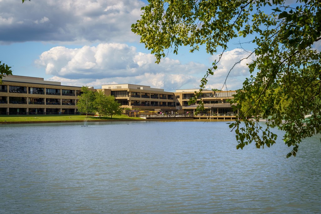 A body of water with a building in the background and a tree branch in the foreground.