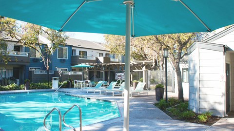 Alterra Pool