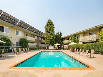 The Brook on Center Pool