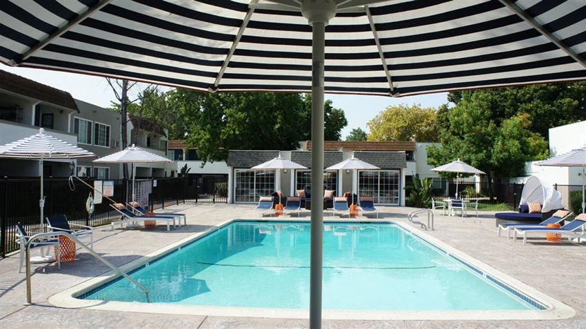 Resort Pool View