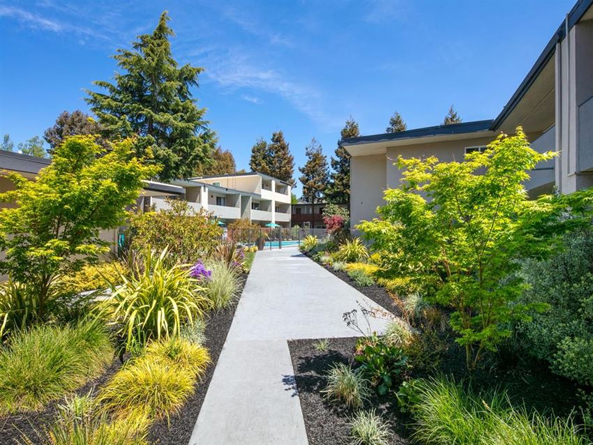 Beautiful Garden Walkways - Photo Gallery