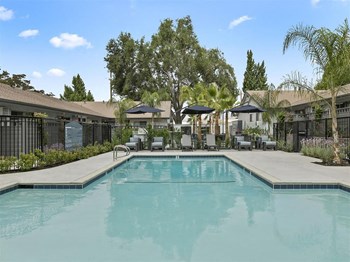 Resort Pool View - Photo Gallery 5