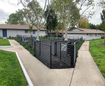 The Benson Dog Park