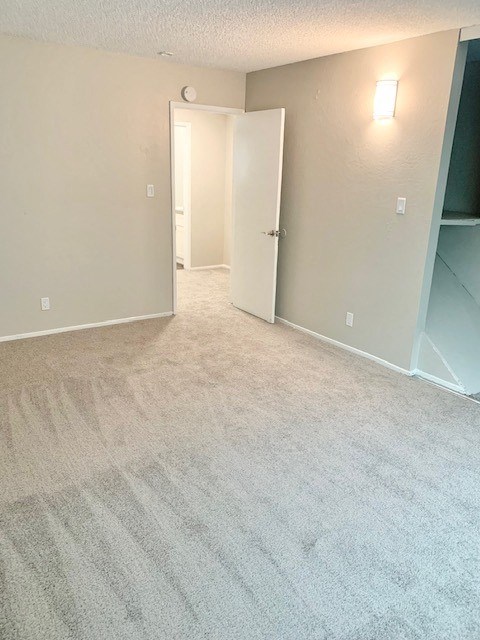 an empty bedroom with a closet and a carpeted floor