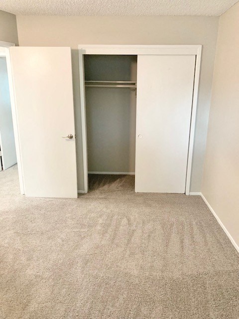 an empty bedroom with a closet and a carpeted floor