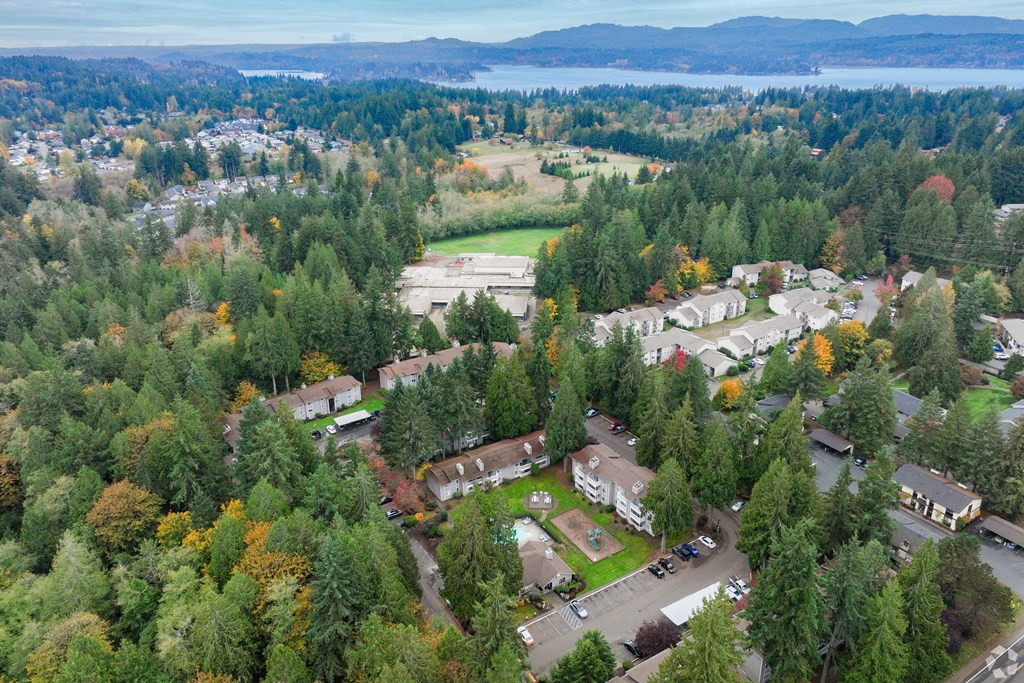 A bird's eye view of a residential area surrounded by trees.