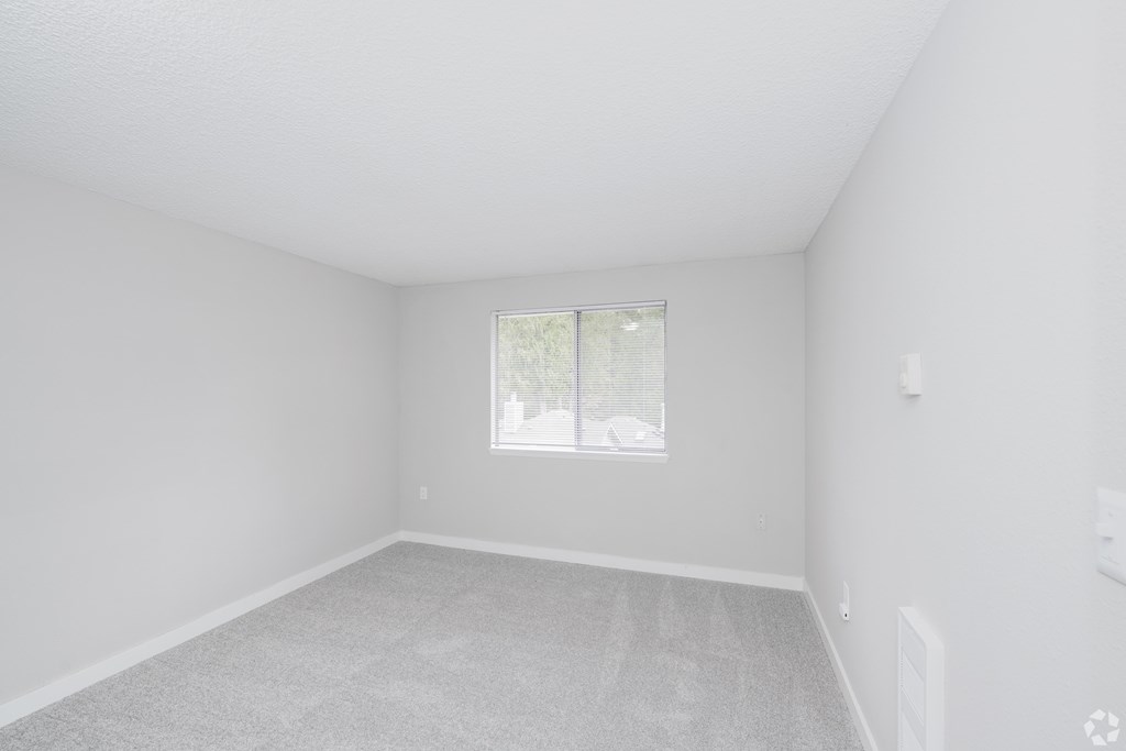 A white room with a window and carpeted floor.
