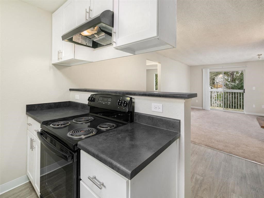 Kitchen & Living Area