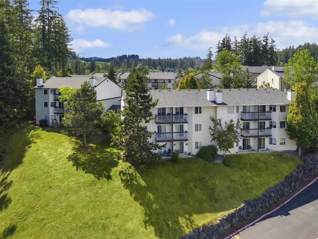 Hillside Buildings with Views